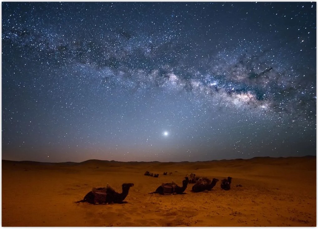 Tablou - Noapte in deșert (70x50 cm)