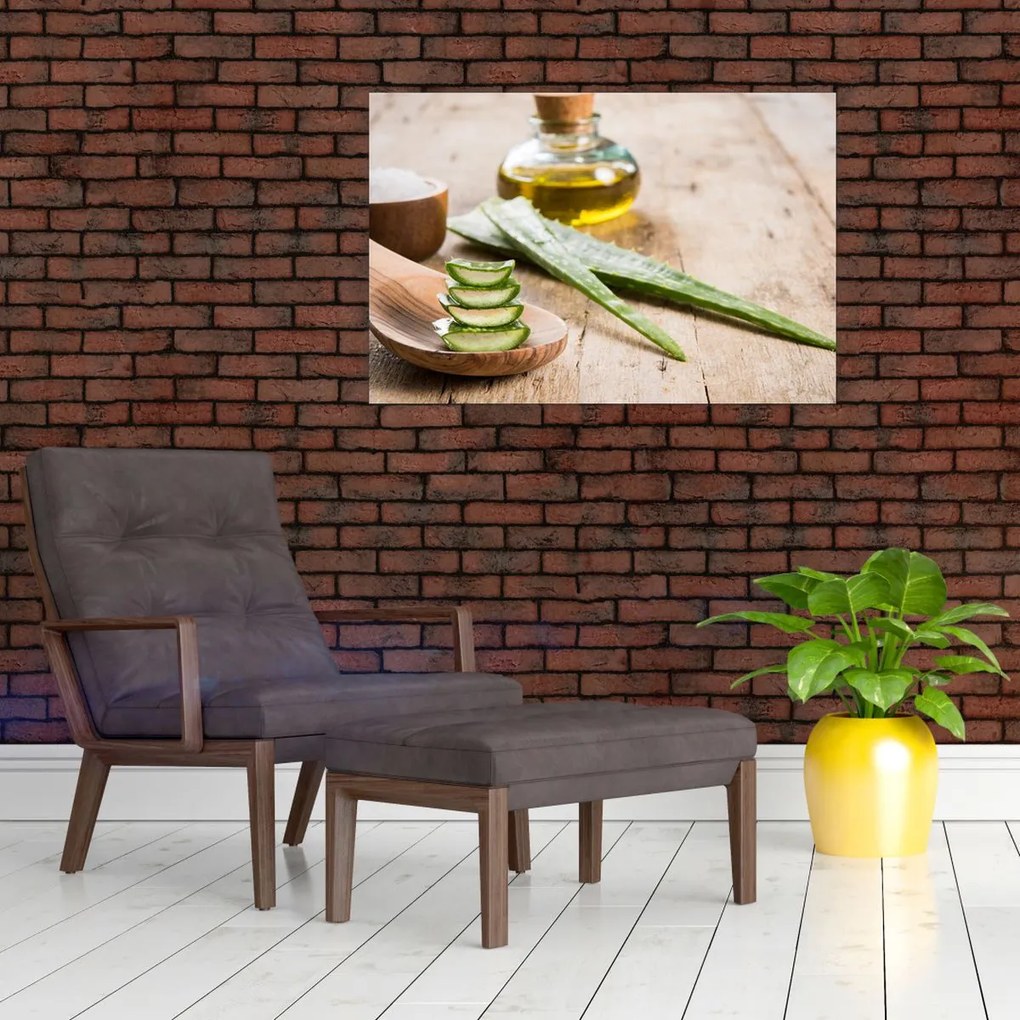 Tablou - Aloe vera (90x60 cm)