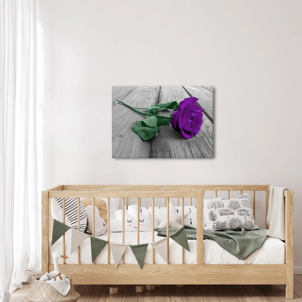 Tablou - Trandafir violet cu tulpina verde (70x50 cm)