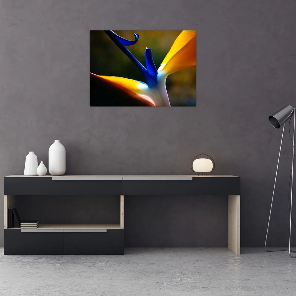 Tablou - Floare exotică (70x50 cm)