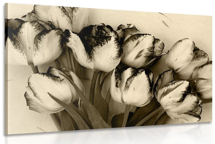 Tablou lalele de primăvară în design sepia