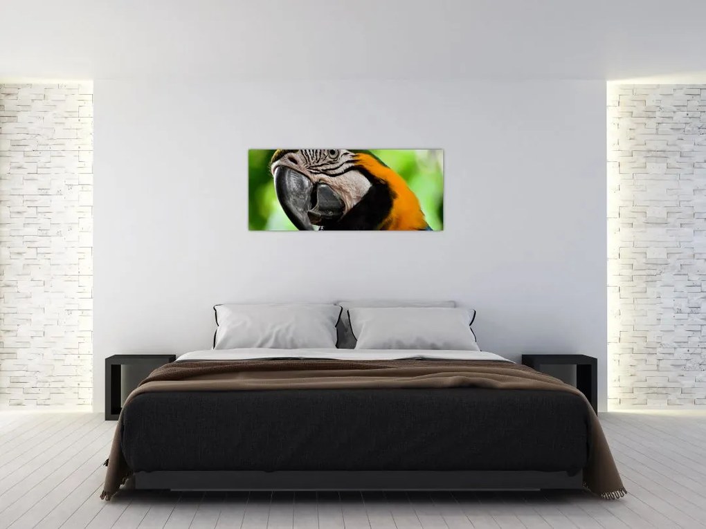 Tablou cu papagal (120x50 cm)