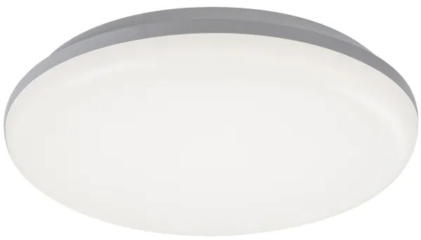 Rabalux 7979 - Plafonieră LED exterior ERIC LED/24W/230V IP64