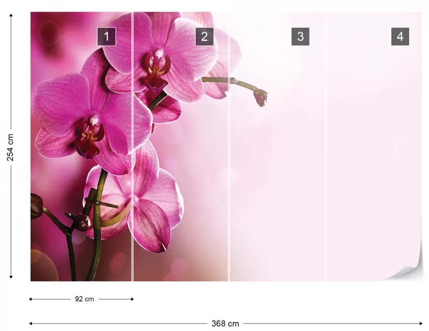 Pink Orchids Flowers Photo Wallpaper Wall Mural