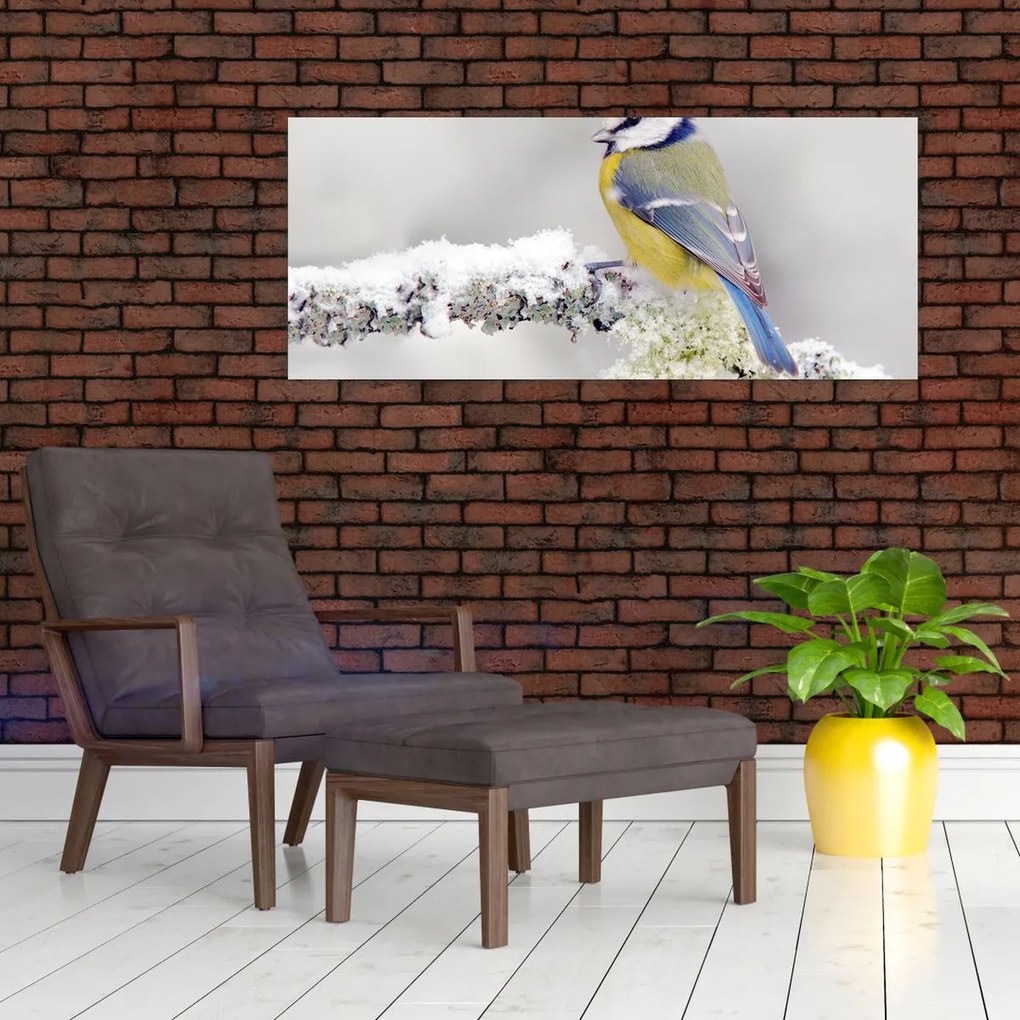 Tablou - Tit albastru în pădure (120x50 cm)