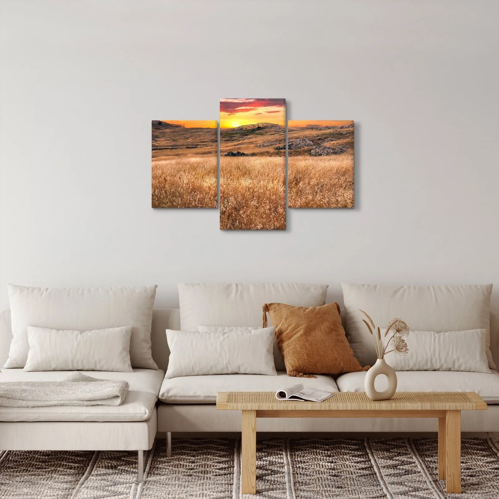 Tablou cu câmp (90x60 cm)
