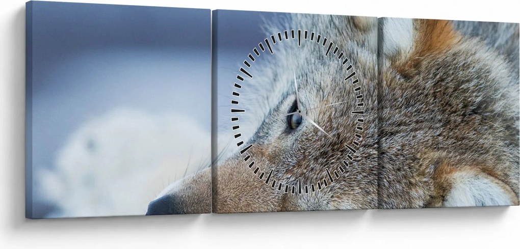Tablou - Lup (cu ceas) (90x30 cm)