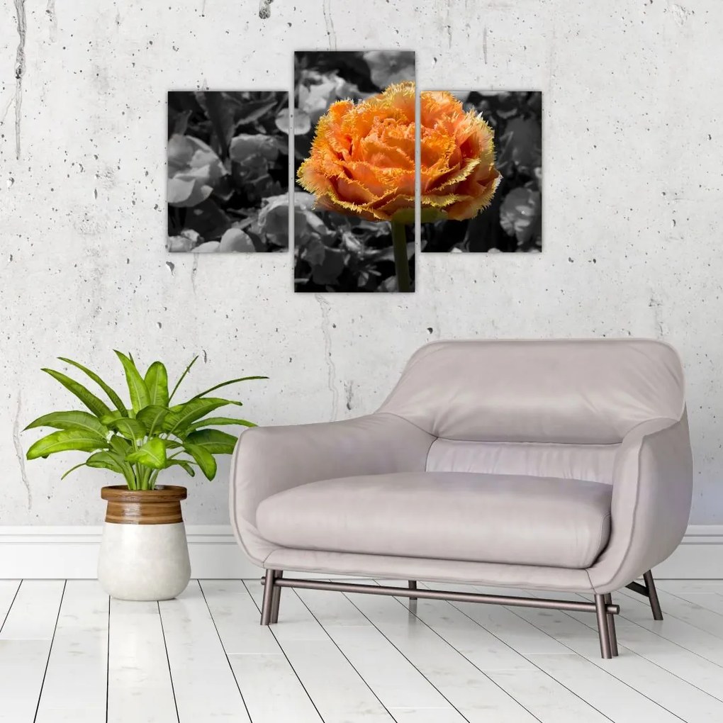 Tablou cu floare (90x60 cm)