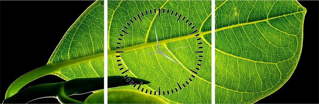 Tablou - frunză verde (cu ceas) (90x30 cm)