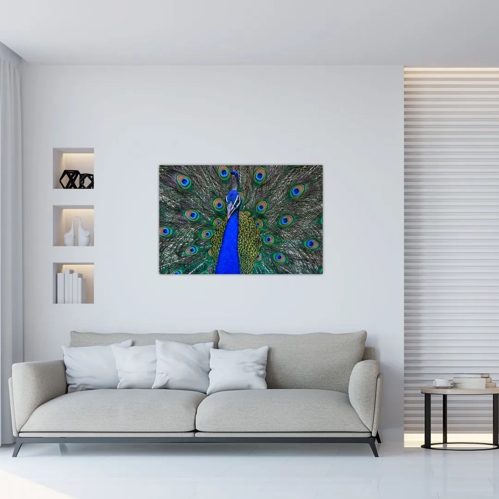 Tablou - Păun (90x60 cm)