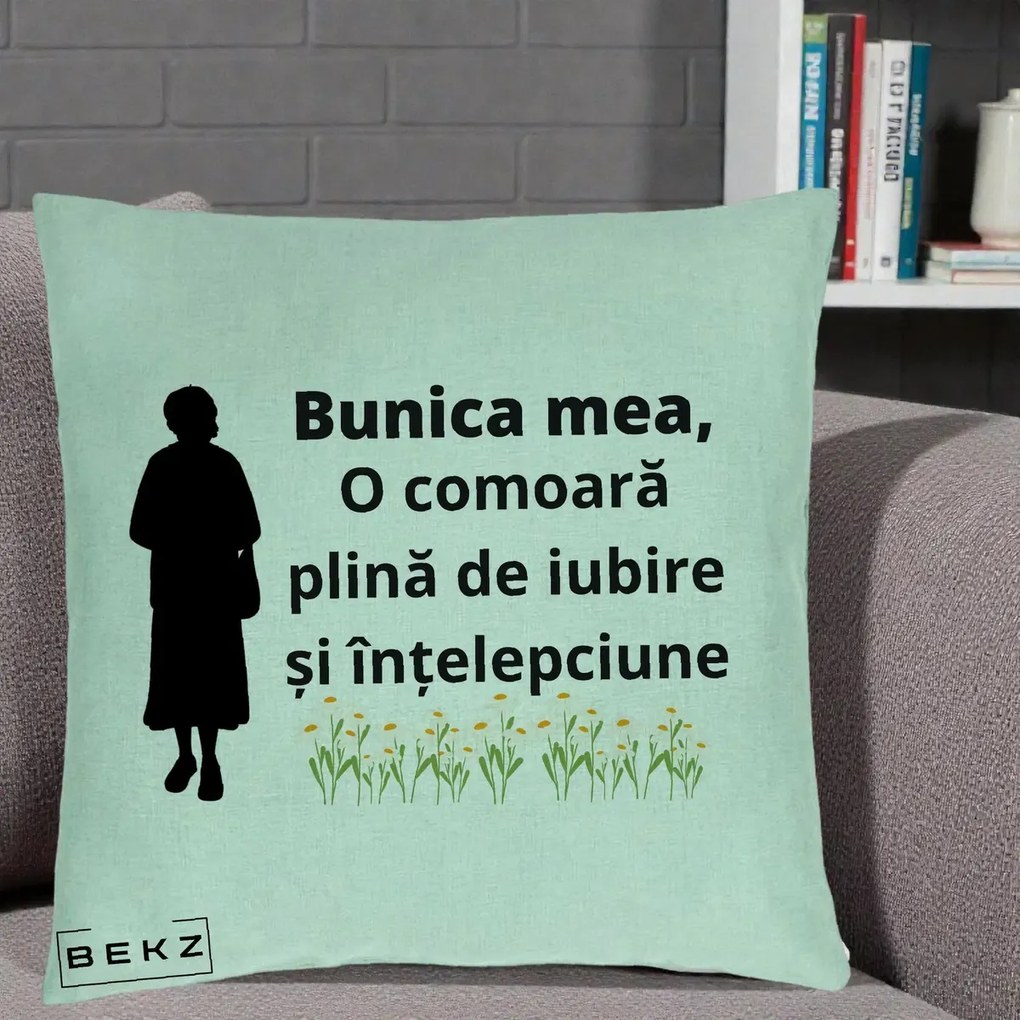 Cadou pentru Bunica - Perna Personalizata Bunica Mea Comoara Iubire Intelepciune Silueta cu Nepoata, 40x40 cm, Verde Menta, Husa Detasabila, Perna Inclusa, BEKZ®