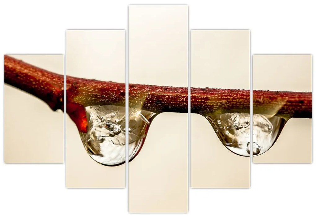 Tablou cu picături de apă pe creangă (150x105 cm)