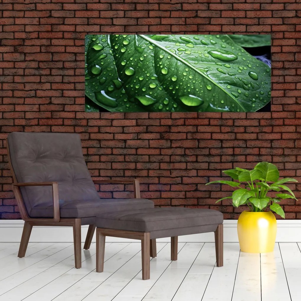 Tablou - Detaliu de frunze după ploaie (120x50 cm)