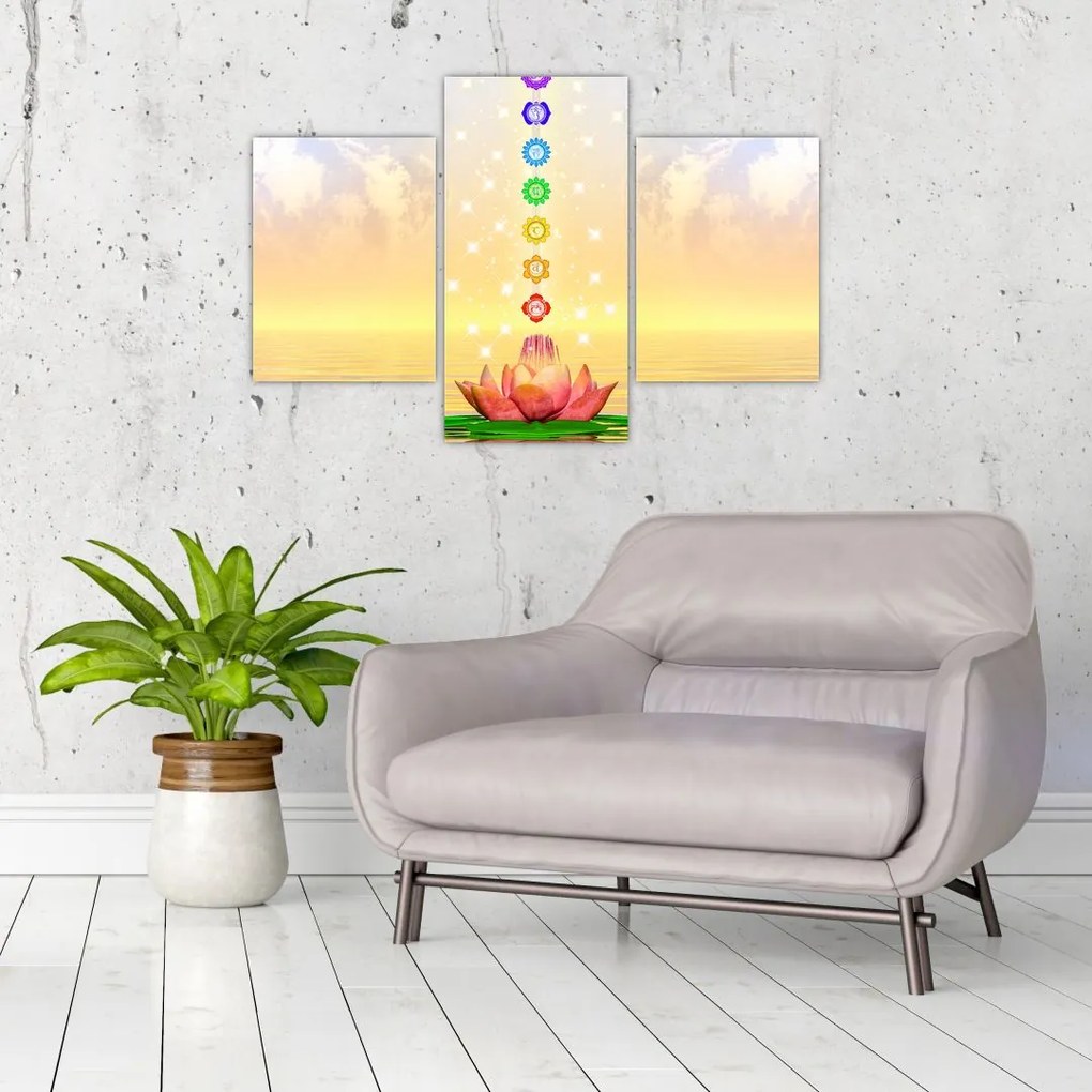 Tablou - Chakrele (90x60 cm)