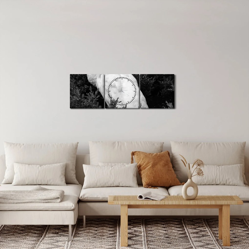 Tablou - Păun,alb-negru (cu ceas) (90x30 cm)