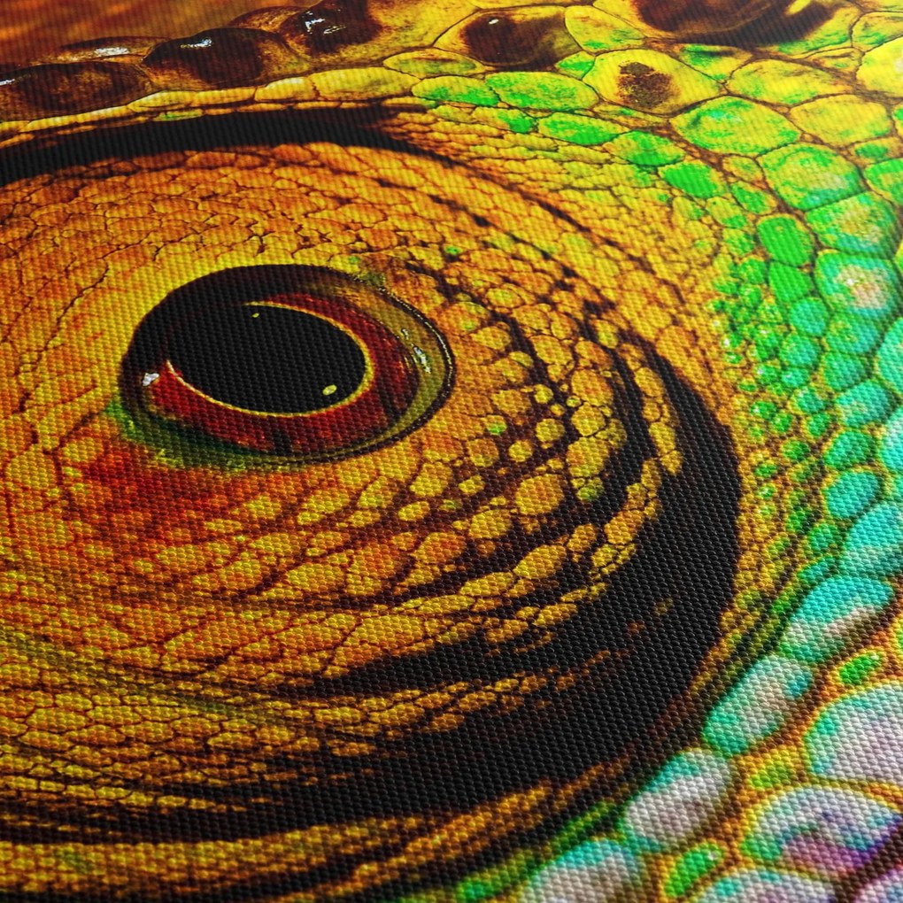 Tablou - Cameleon (70x50 cm)
