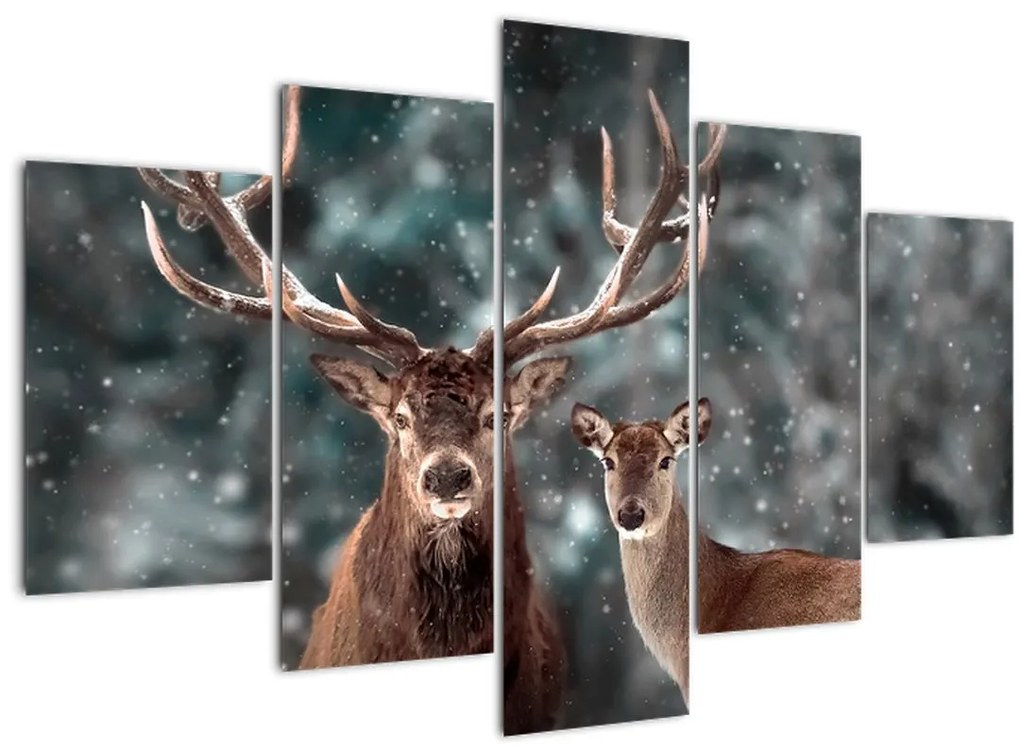 Tablou - Cerb și căprioare în pădurea înzăpezită (150x105 cm)