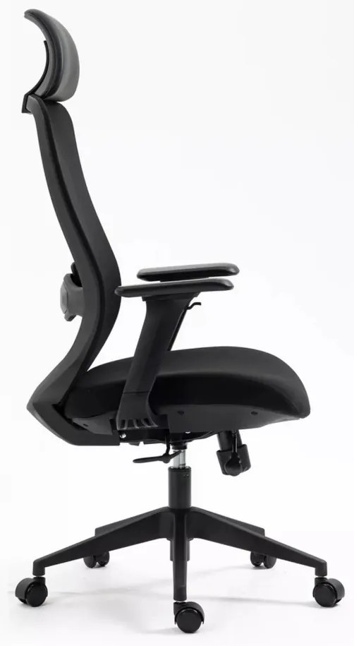 Scaun de birou Ergon negru