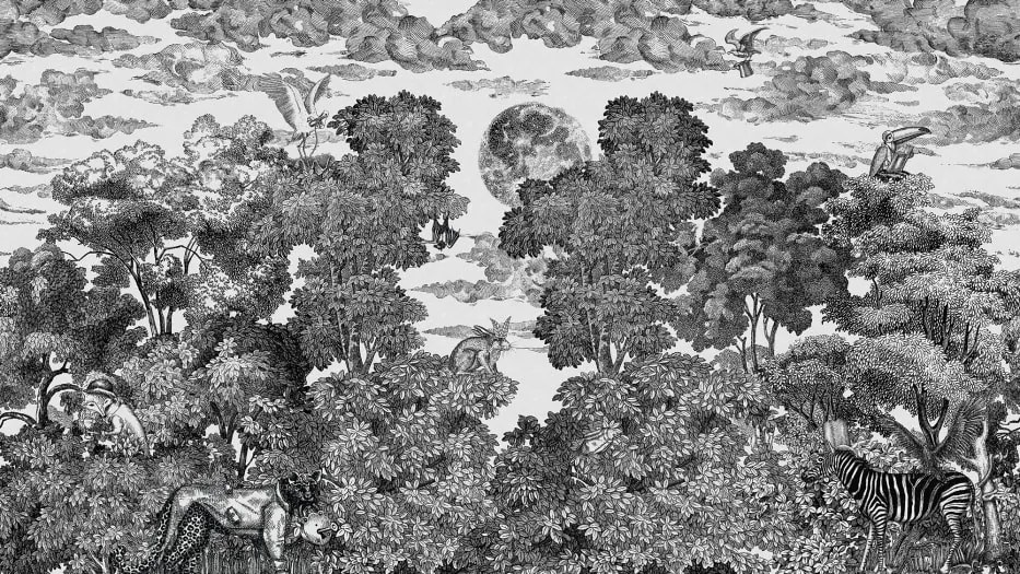 Fototapet, Bellewood under the Moon, Graphite, Rebel Walls