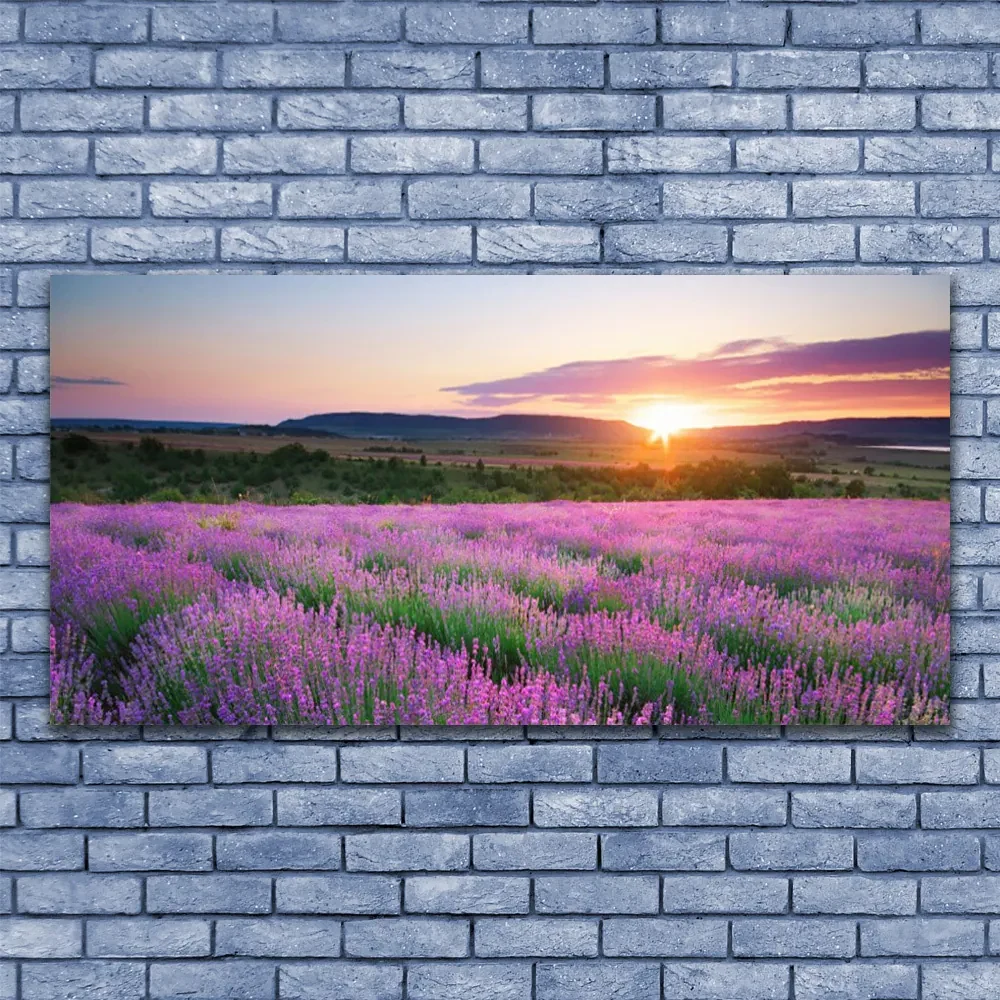Tablouri acrilice Soare Meadow Flori Natura Galben Roz Verde