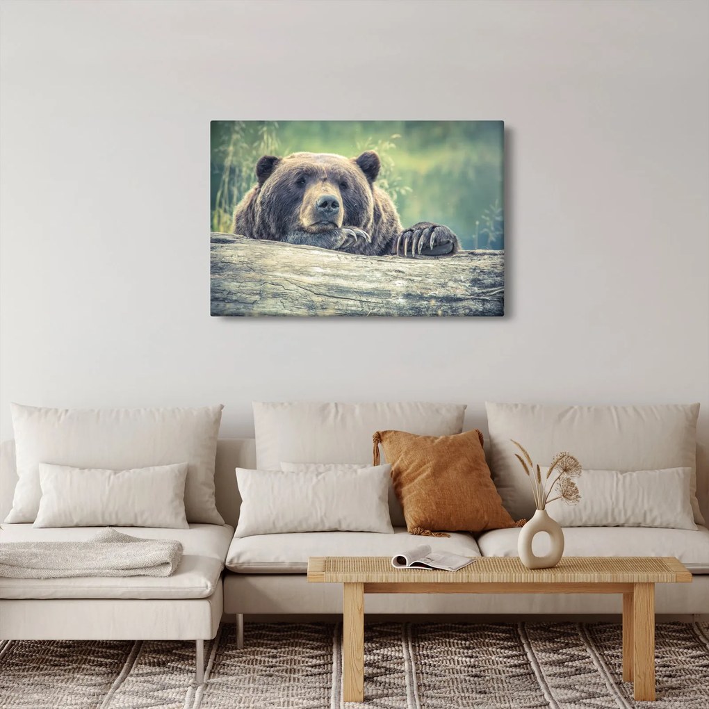 Tablou cu urs (90x60 cm)