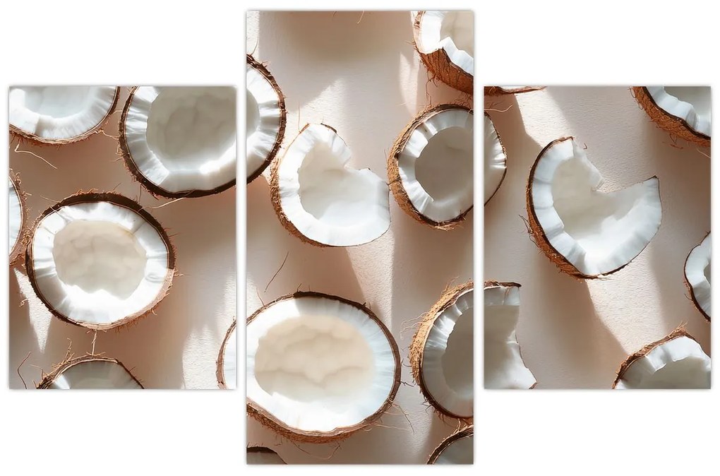 Tablou - Nuci de cocos (90x60 cm)