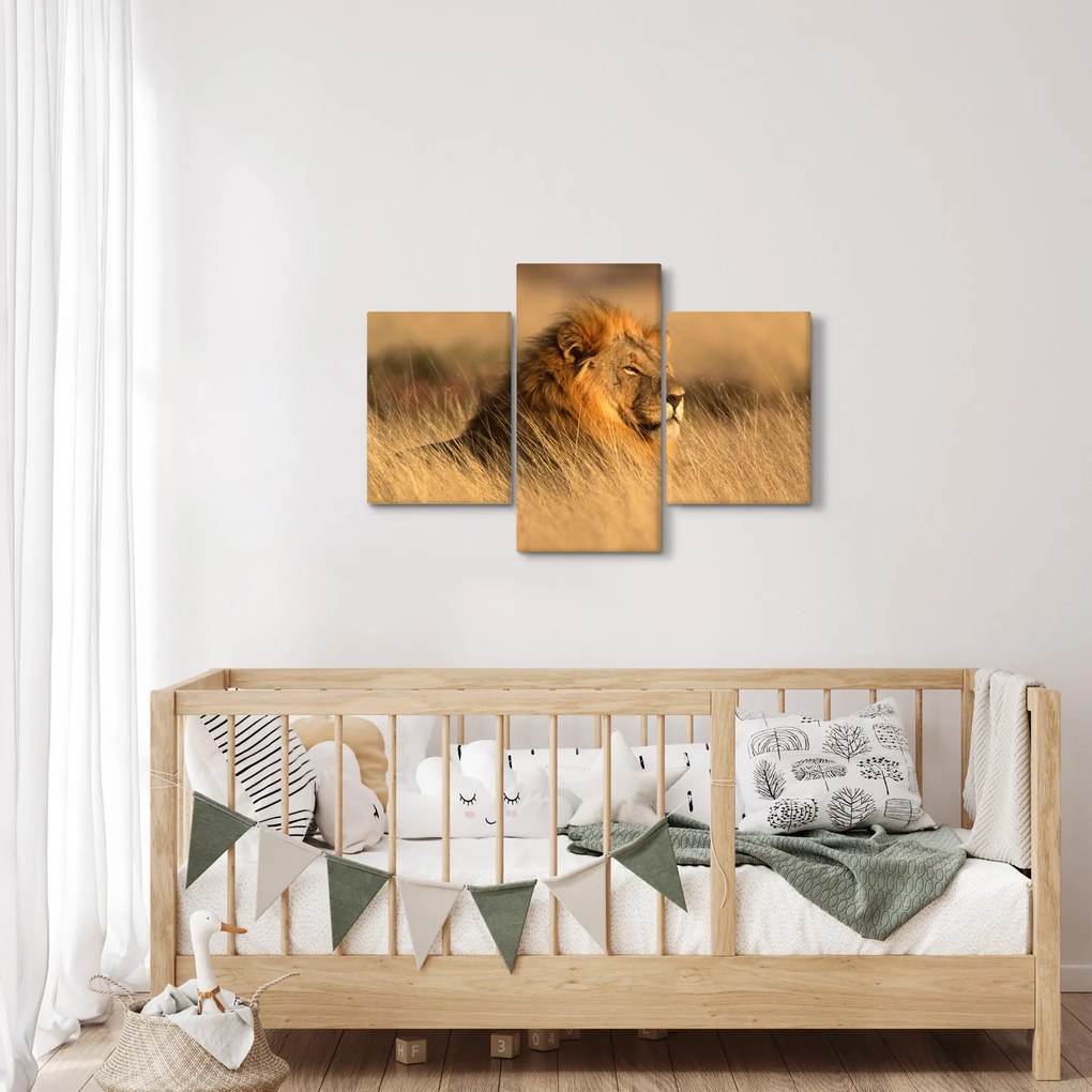 Tablou - Parcul Național Etosha (90x60 cm)