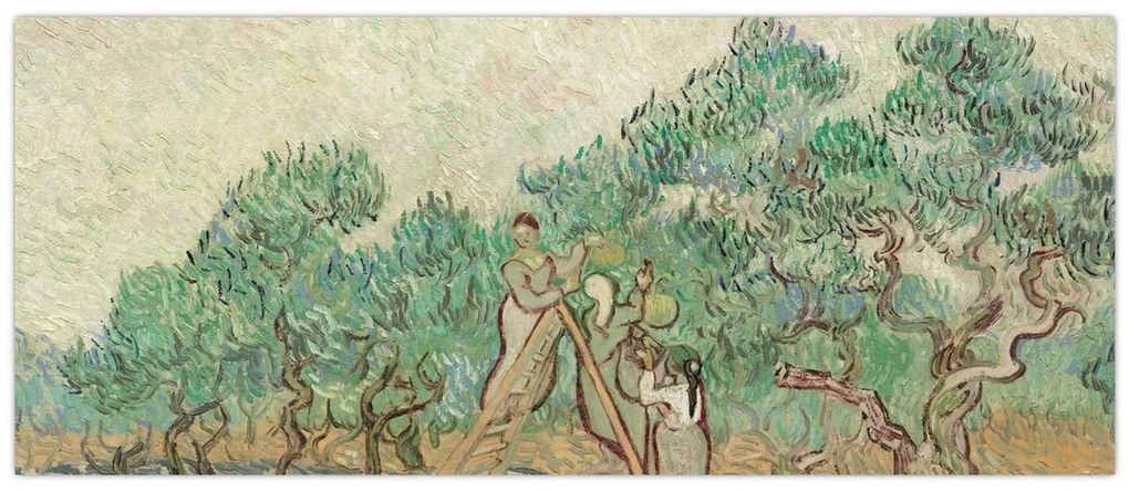 Tablou - Vincent van Gogh, The Olive Orchard, reproducere (120x50 cm)