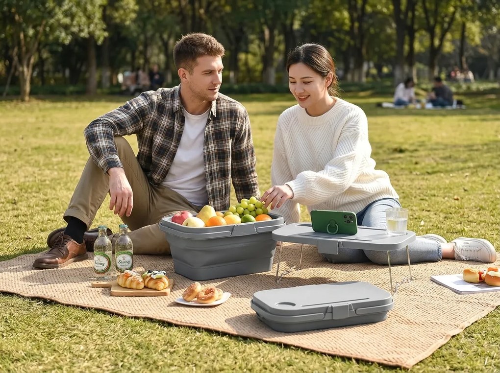 Cos de picnic pliabil TRIGO 3in1, gri