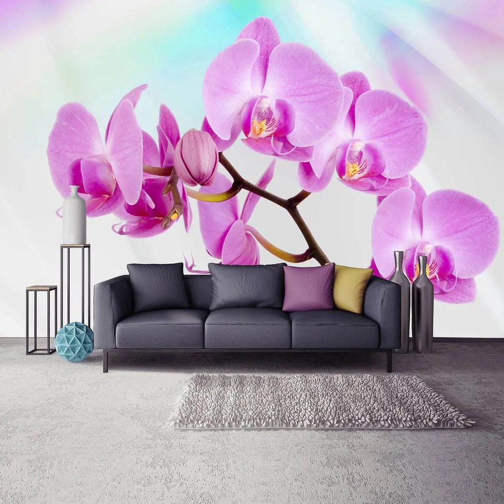 Fototapet - Orhidee (152,5x104 cm), în 8 de alte dimensiuni noi