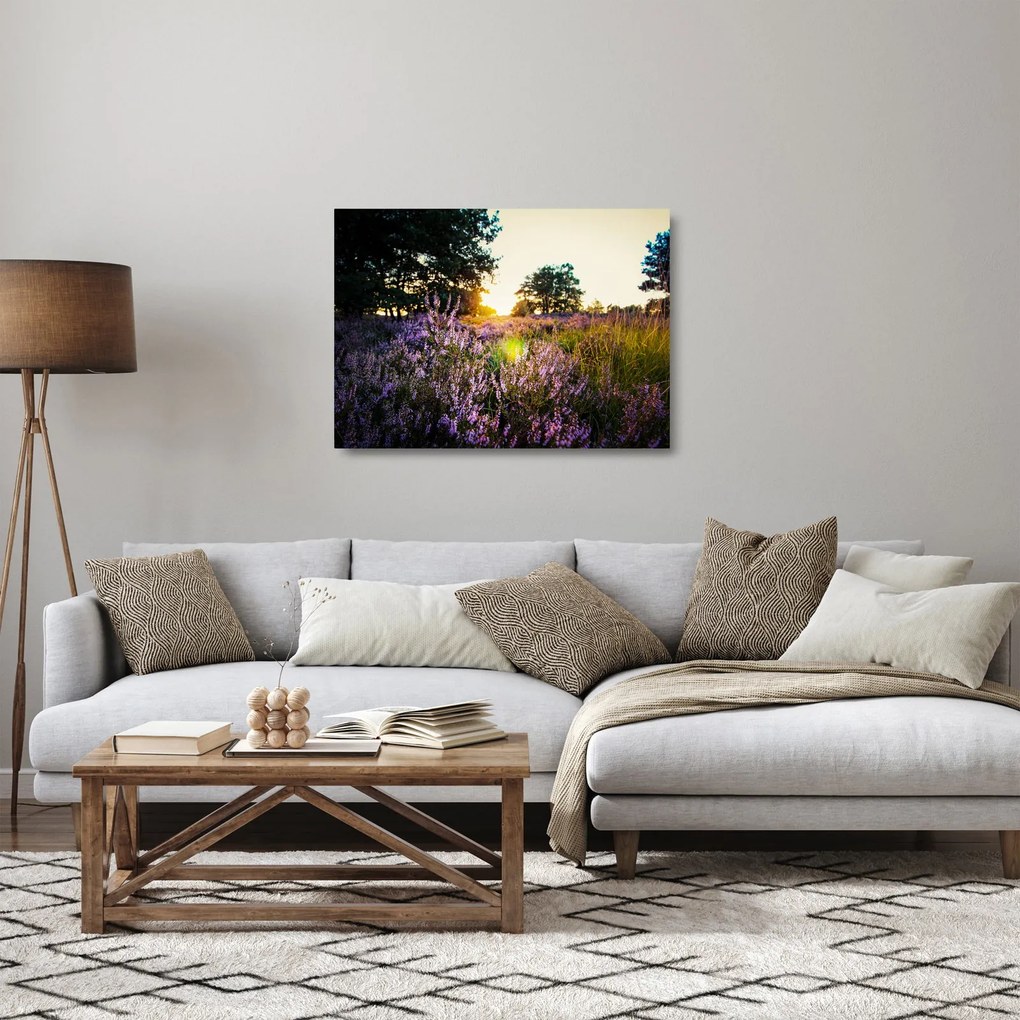 Tablou pe sticlă - Câmp cu lavandă (70x50 cm)