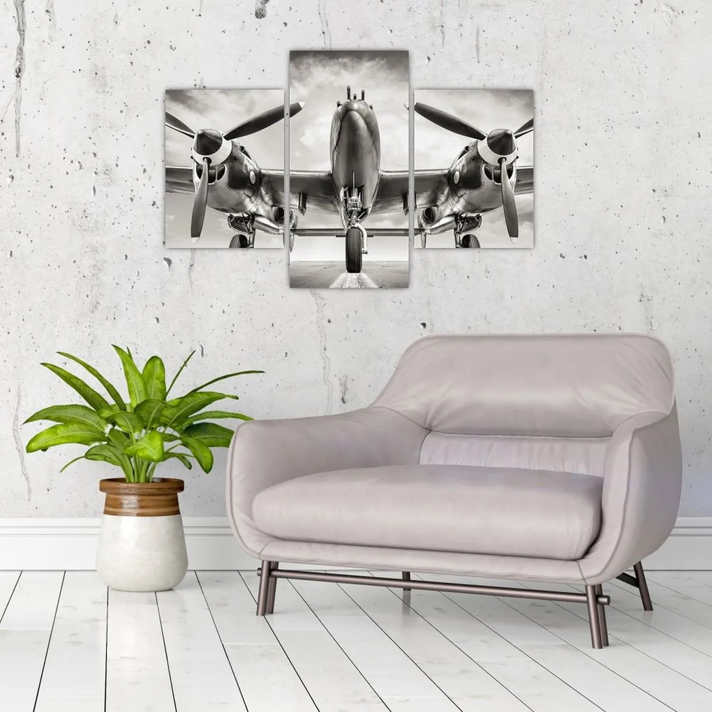 Tablou - Warbird (90x60 cm)