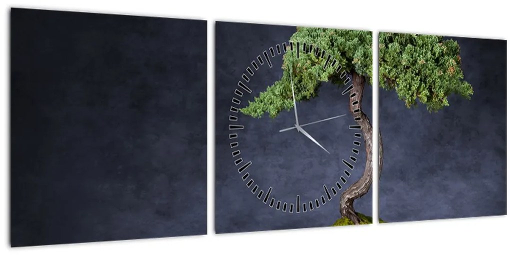 Tablou - Bonsai (cu ceas) (90x30 cm)