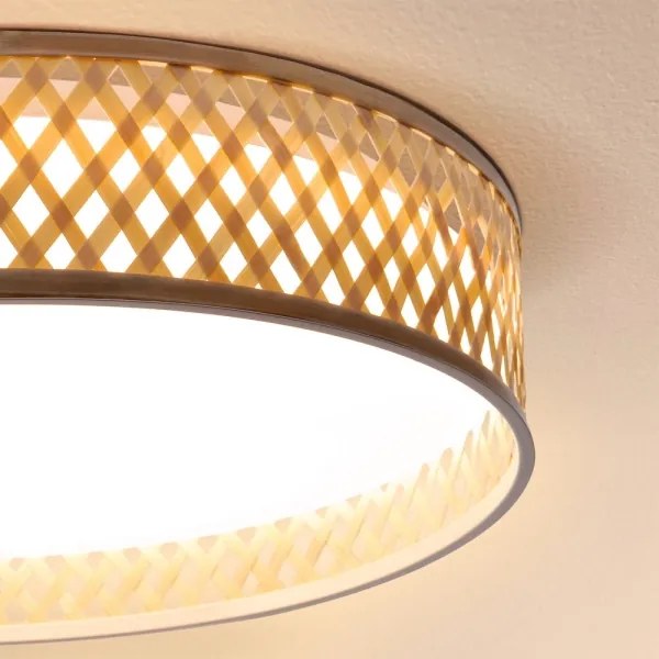 Plafonieră LED dimabilă Brilagi CAMILA LED/48W/230V 3000-6500K + telecomandă