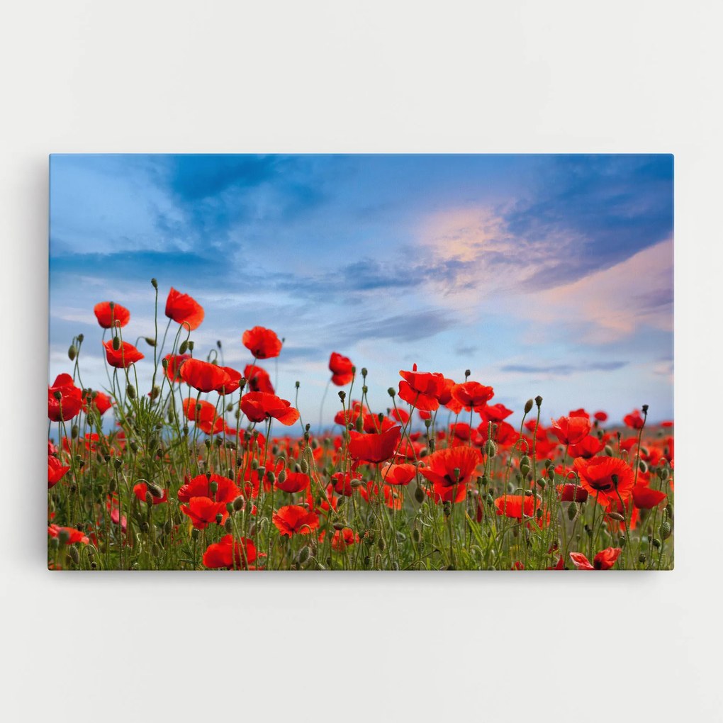 Tablou Canvas, 40x60cm, Dormitor si Living, Flori, Maci, Poppy Field