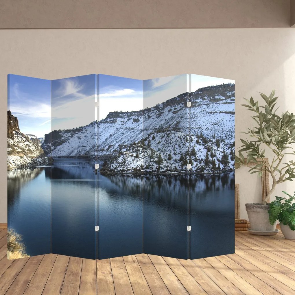 Paravan - Peisaj de iarnă - lac (210x170 cm)
