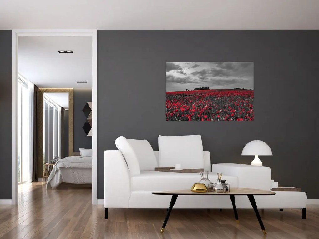 Tablou cu maci (90x60 cm)
