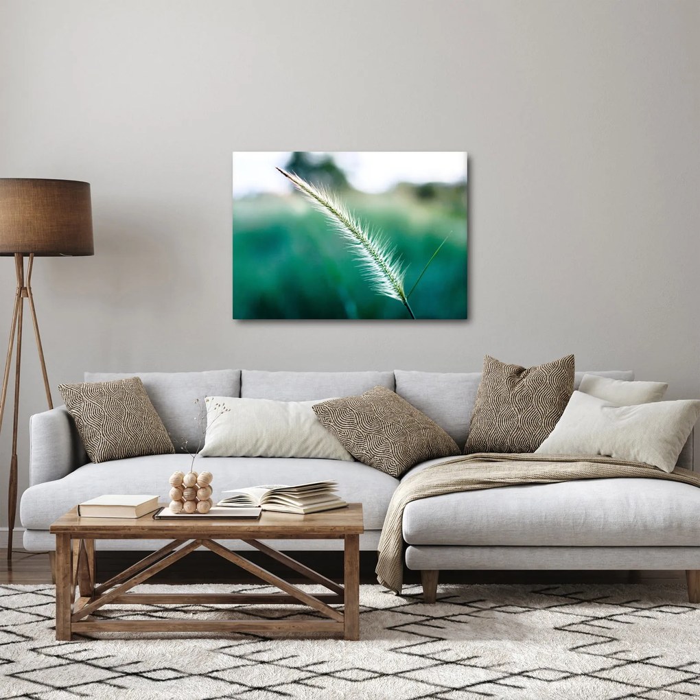 Tablou cu fir de iarbă (70x50 cm)