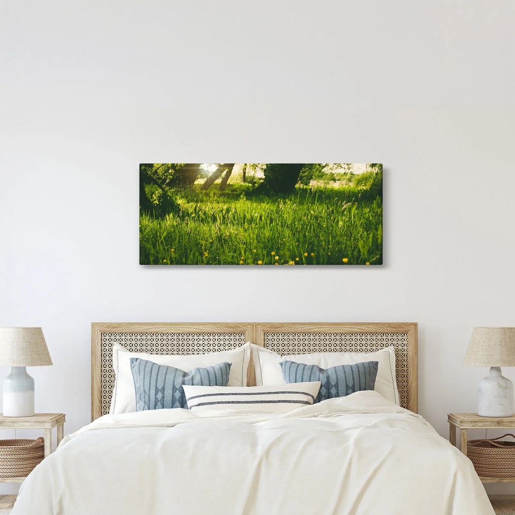 Tablou cu natura - lunca (120x50 cm)