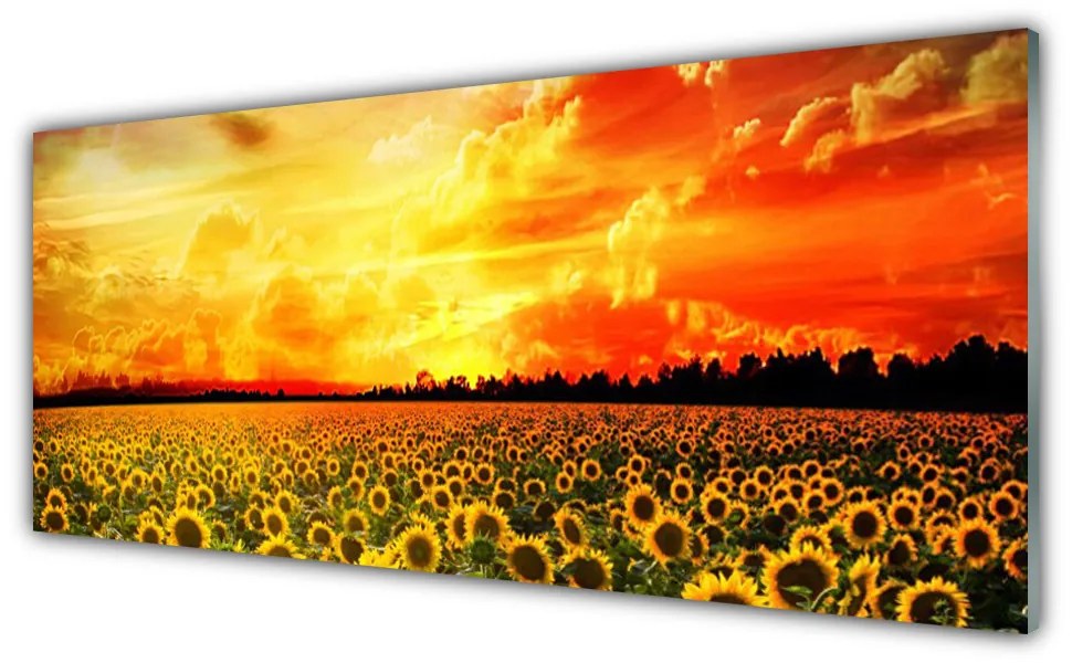 Tablou pe sticla Meadow Sunflowers Floral Verde Galben Maro
