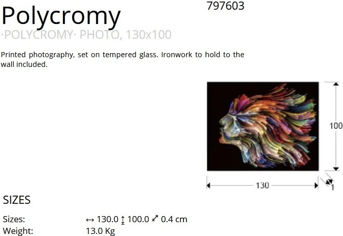 Tablou decorativ, imagine imprimata pe sticla calita Polycromy 130x100cm SV-797603