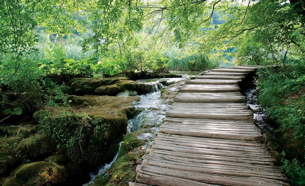 Fototapet - Natura (254x184 cm)