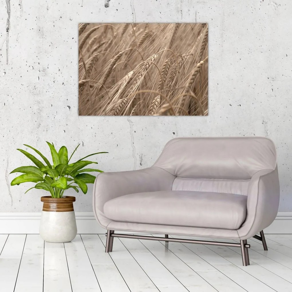 Tablou pe sticlă - Câmpul de aur (70x50 cm)