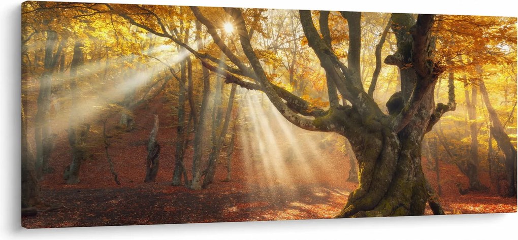 Tablou - Lumina de toamnă (120x50 cm)