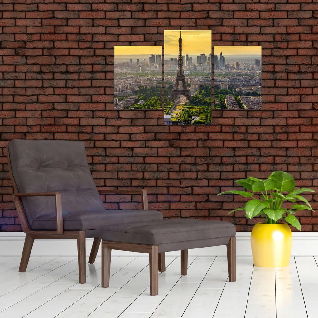 Tablou - Panorama Parisului (90x60 cm)