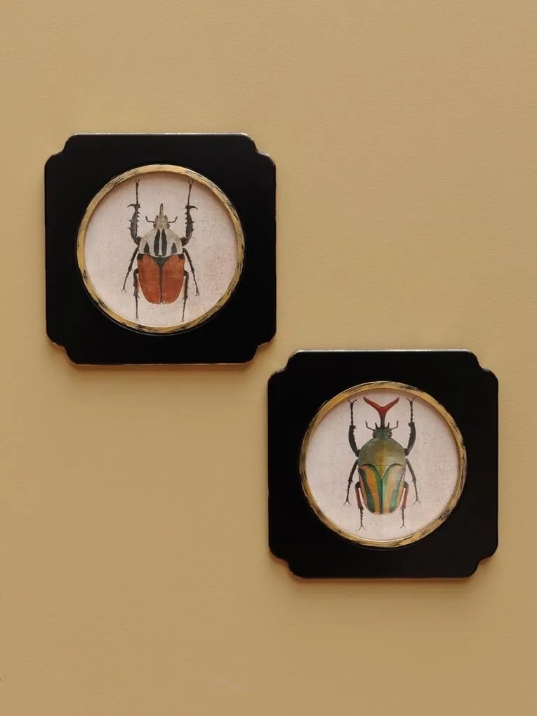 Set 2 tablouri cu insecte, cu rama din lemn, Beetles