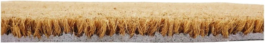 Covoraș de intrare din fibre de nucă de cocos 40x60 cm Hello There – Artsy Doormats
