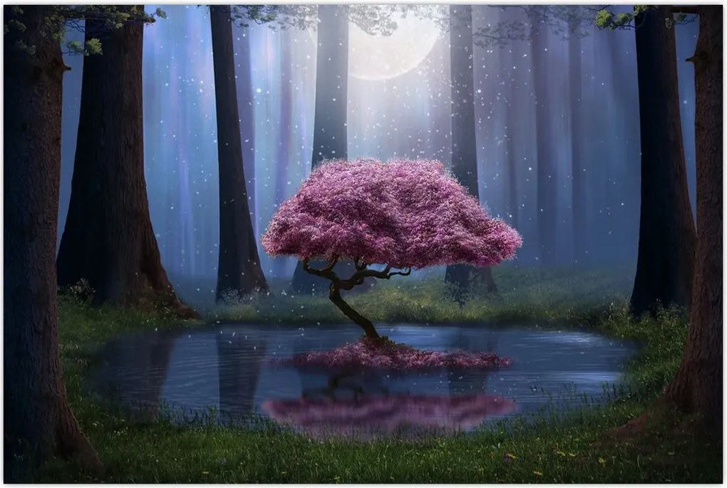 Tablou - Noapte magică (90x60 cm)