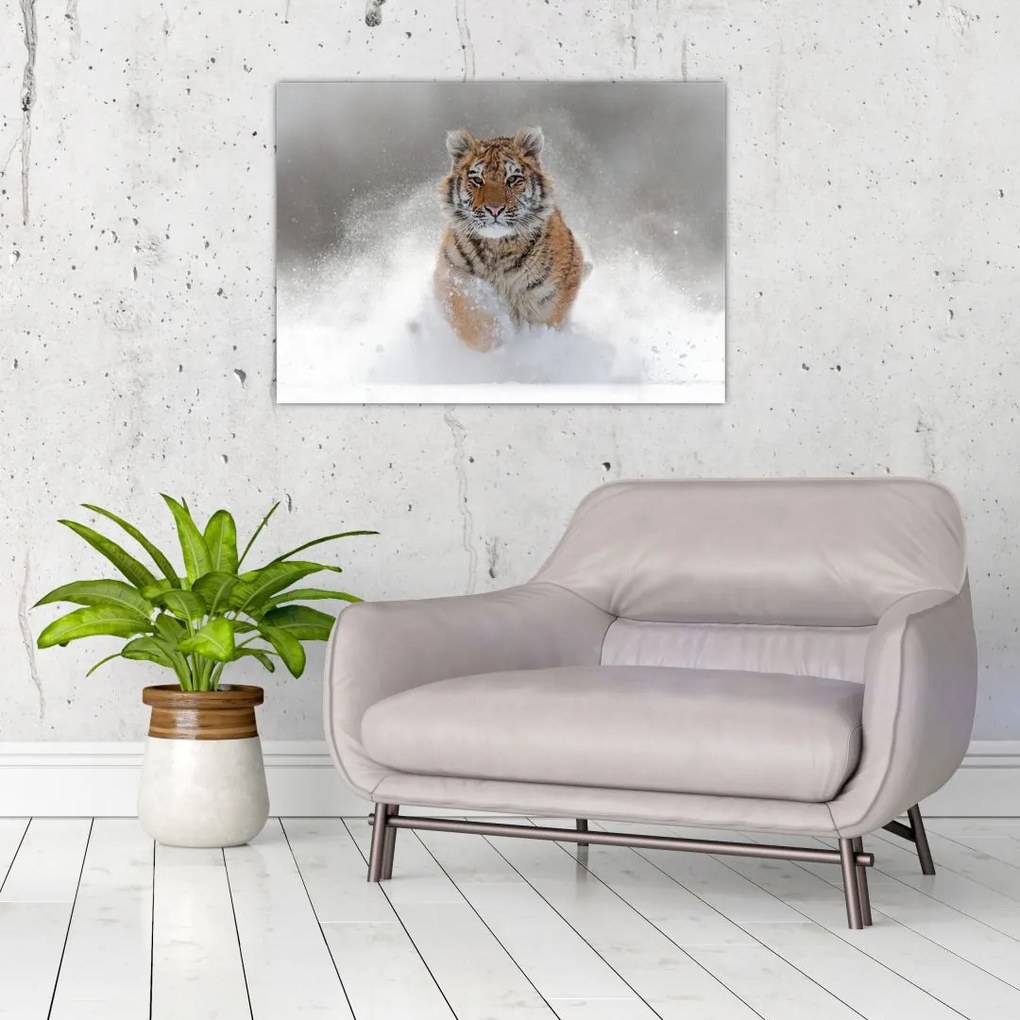 Tablou cutigru fugind prin zăpadă (70x50 cm)