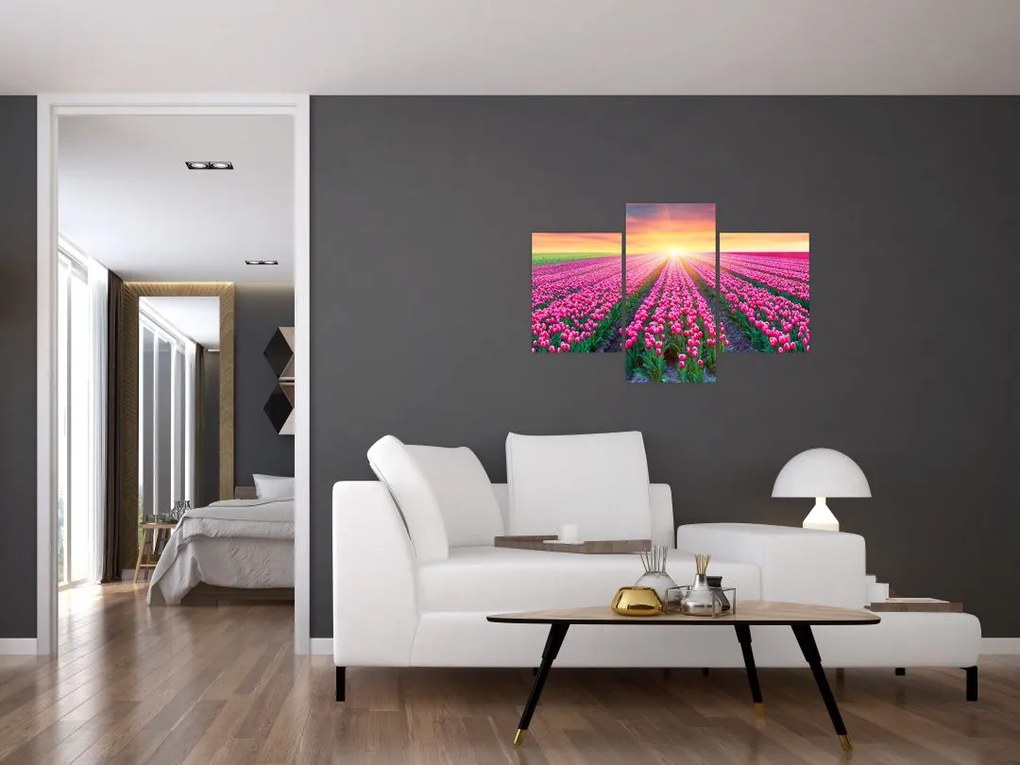 Tablou cu câmp de lalele cu soare (90x60 cm)